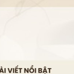 Xu hướng rèm cửa nổi bật được nhiều gia đình yêu thích trong năm 2026